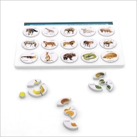 Hooshchin Four Pieces